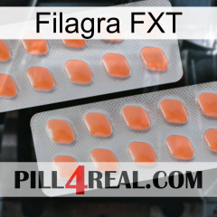 Filagra FXT 27